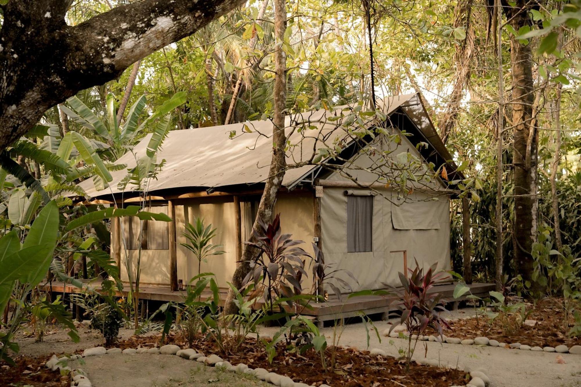Zunya Bed & Breakfast Malpais Ngoại thất bức ảnh
